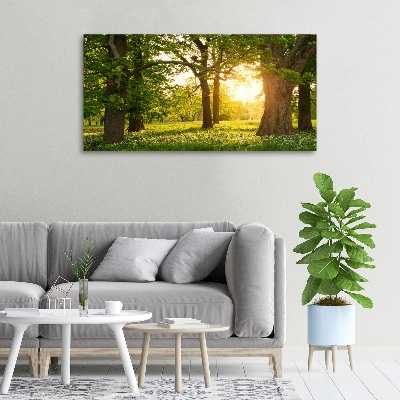 Tableau sur toile Arbres dans le parc