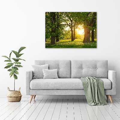 Tableau sur toile Arbres dans le parc