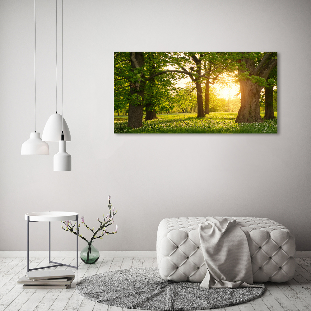 Tableau sur toile Arbres dans le parc