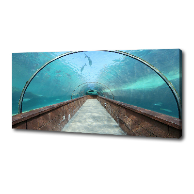 Tableau photo sur toile Tunnel aquarium