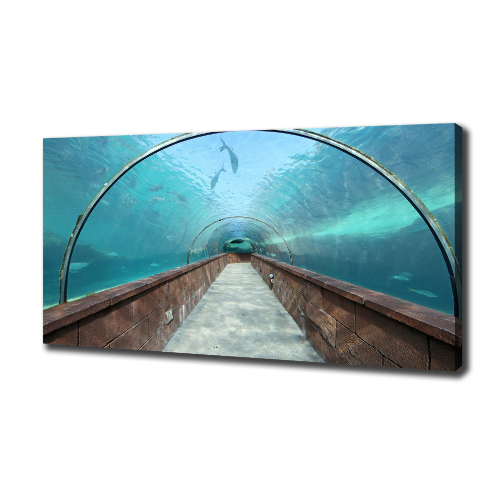 Tableau photo sur toile Tunnel aquarium