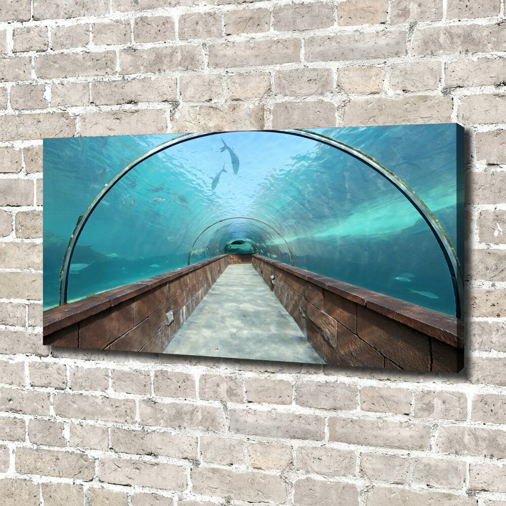 Tableau photo sur toile Tunnel aquarium