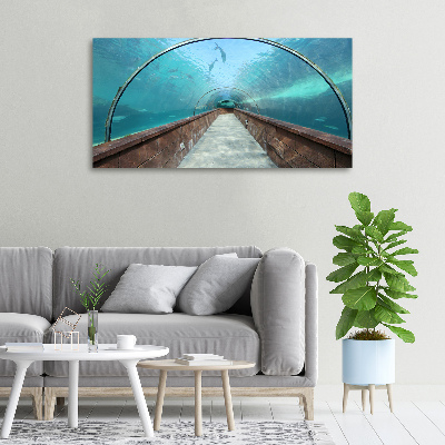 Tableau photo sur toile Tunnel aquarium