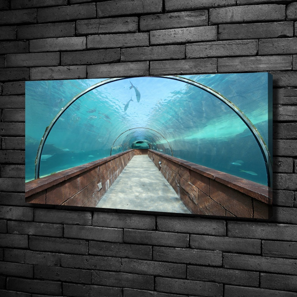 Tableau photo sur toile Tunnel aquarium