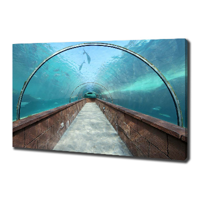 Tableau photo sur toile Tunnel aquarium