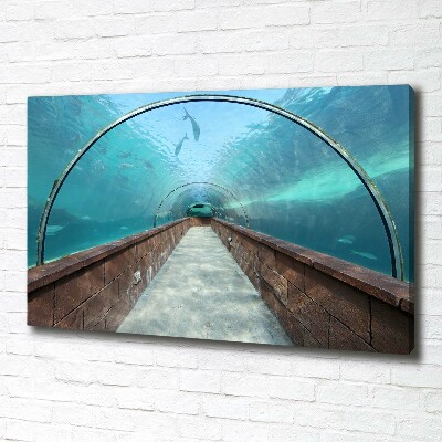 Tableau photo sur toile Tunnel aquarium