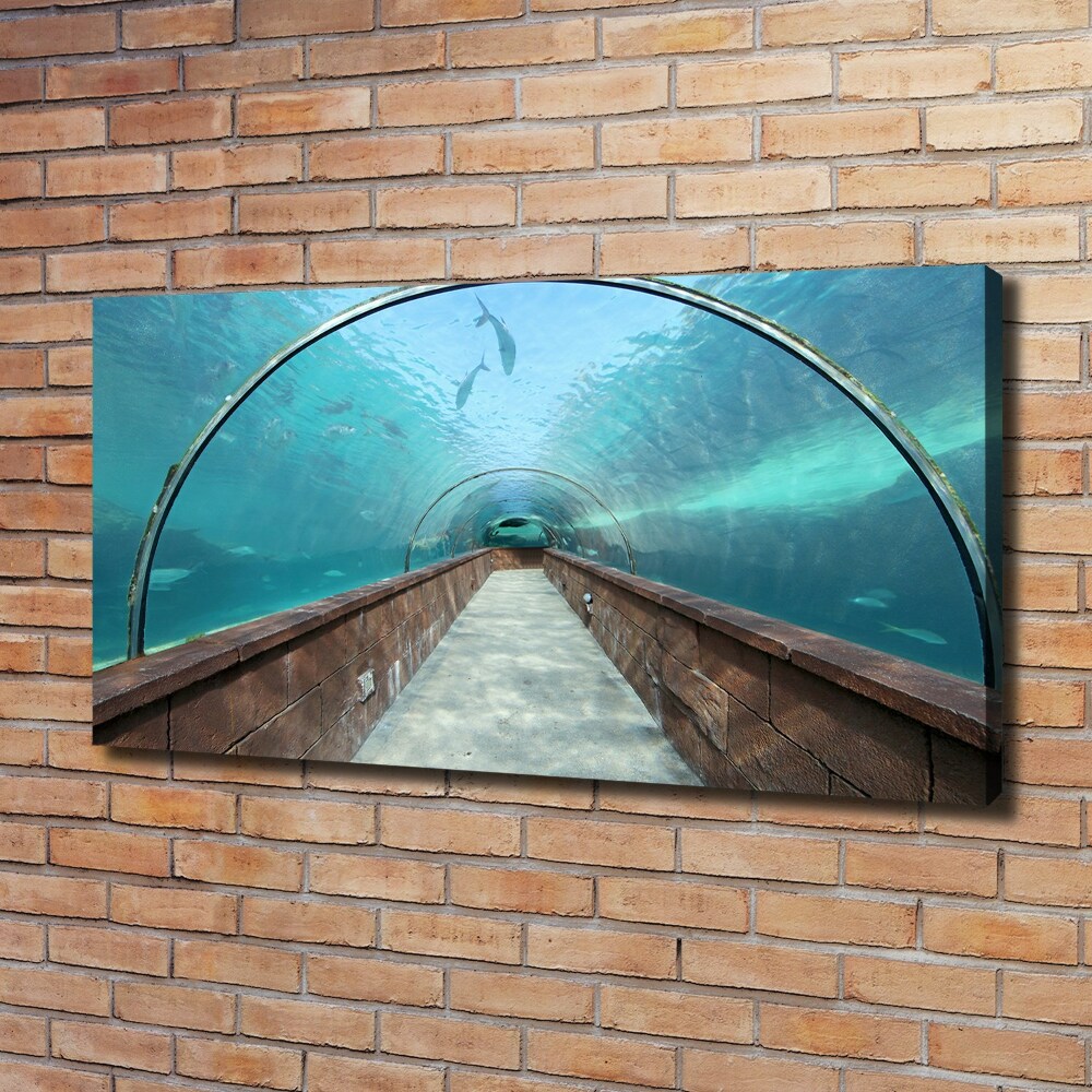 Tableau photo sur toile Tunnel aquarium