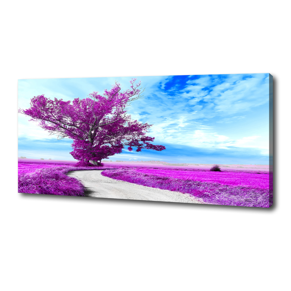 Tableau photo sur toile Arbre et chemin