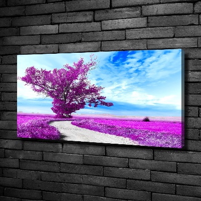 Tableau photo sur toile Arbre et chemin