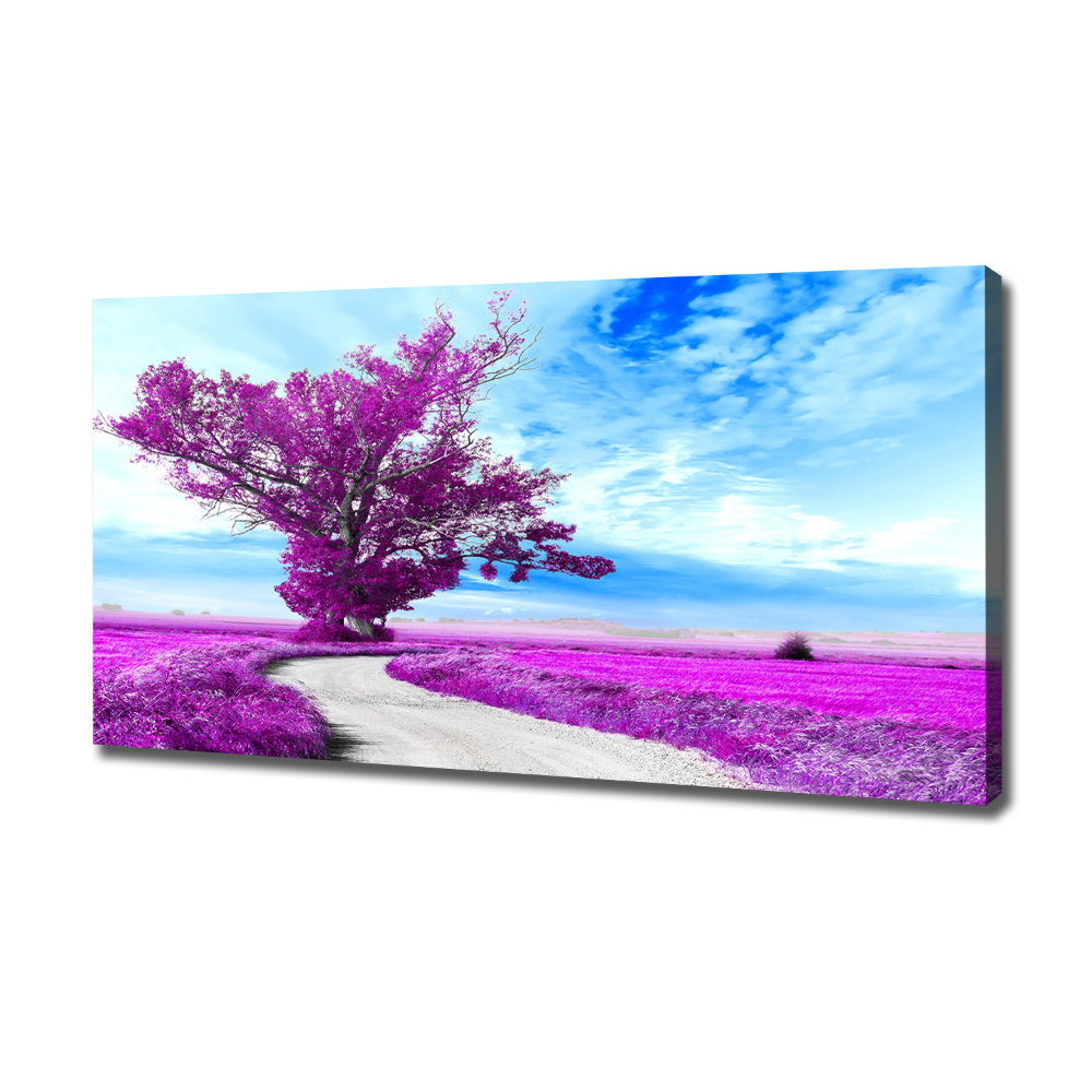 Tableau photo sur toile Arbre et chemin