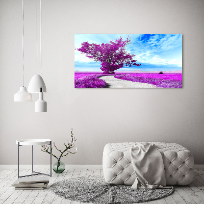 Tableau photo sur toile Arbre et chemin