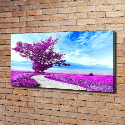 Tableau photo sur toile Arbre et chemin