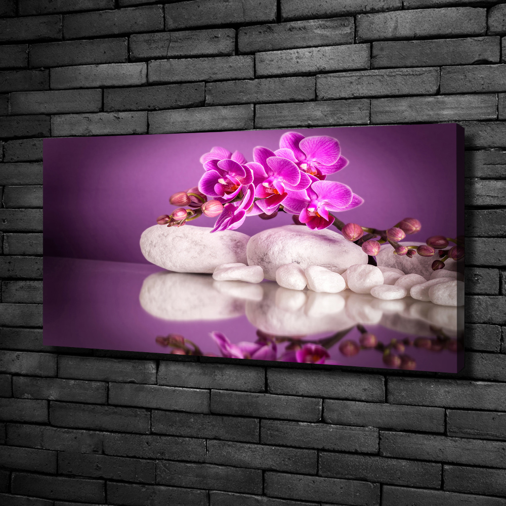 Tableau photo sur toile Orchidée rose