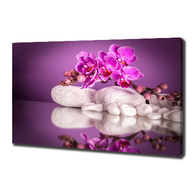 Tableau photo sur toile Orchidée rose