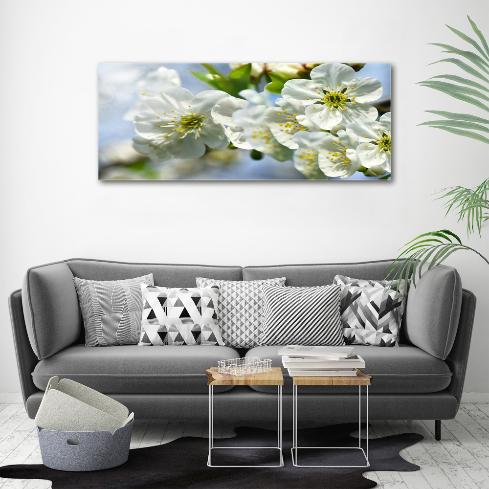 Tableau photo sur toile Fleur de cerisier