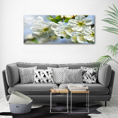 Tableau photo sur toile Fleur de cerisier