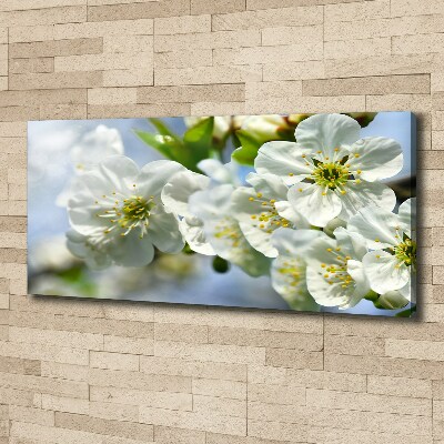 Tableau photo sur toile Fleur de cerisier