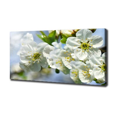 Tableau photo sur toile Fleur de cerisier