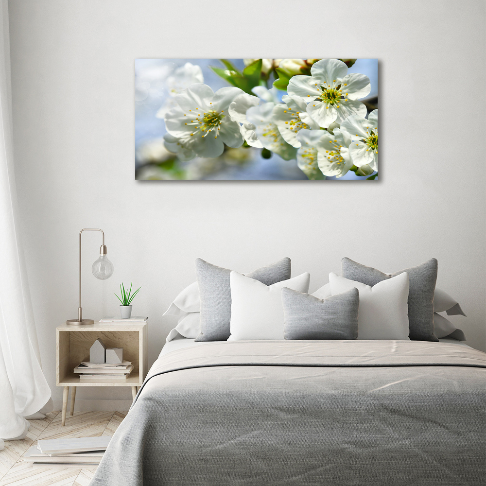 Tableau photo sur toile Fleur de cerisier