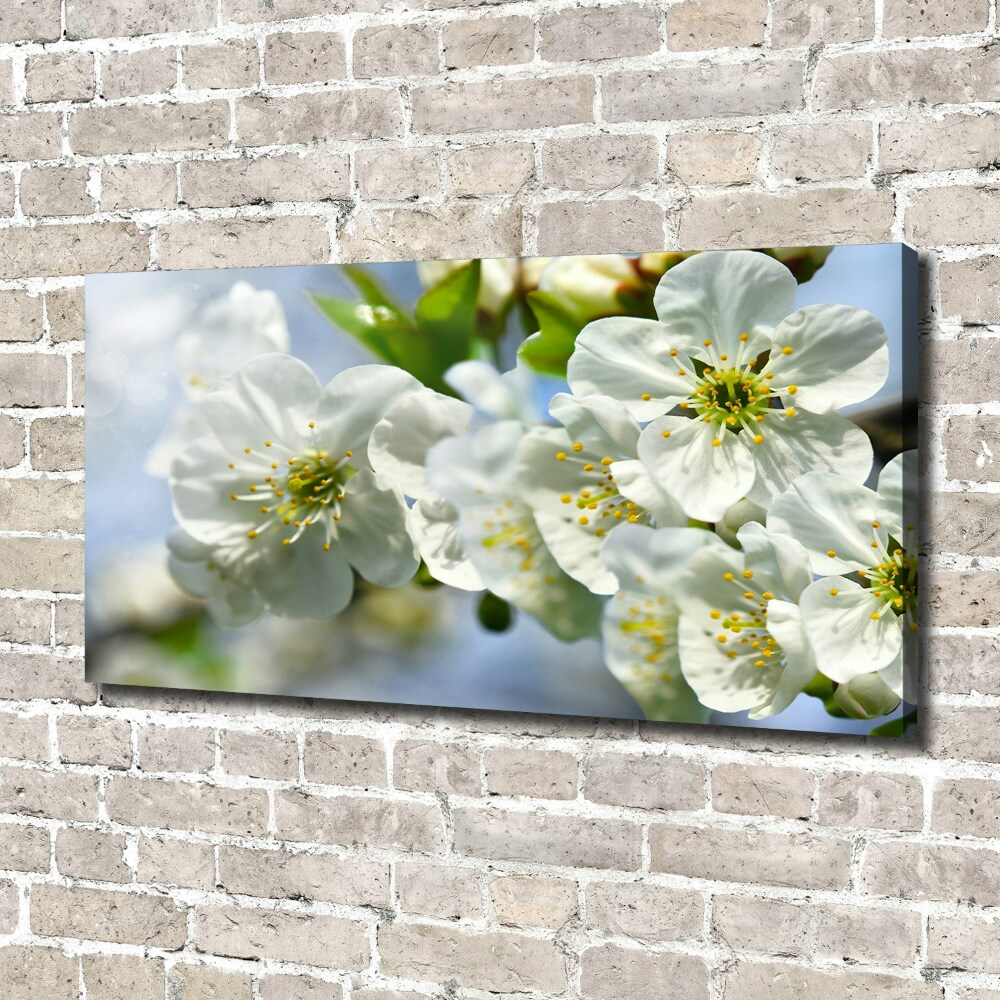 Tableau photo sur toile Fleur de cerisier