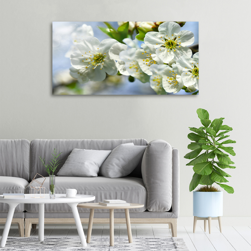 Tableau photo sur toile Fleur de cerisier