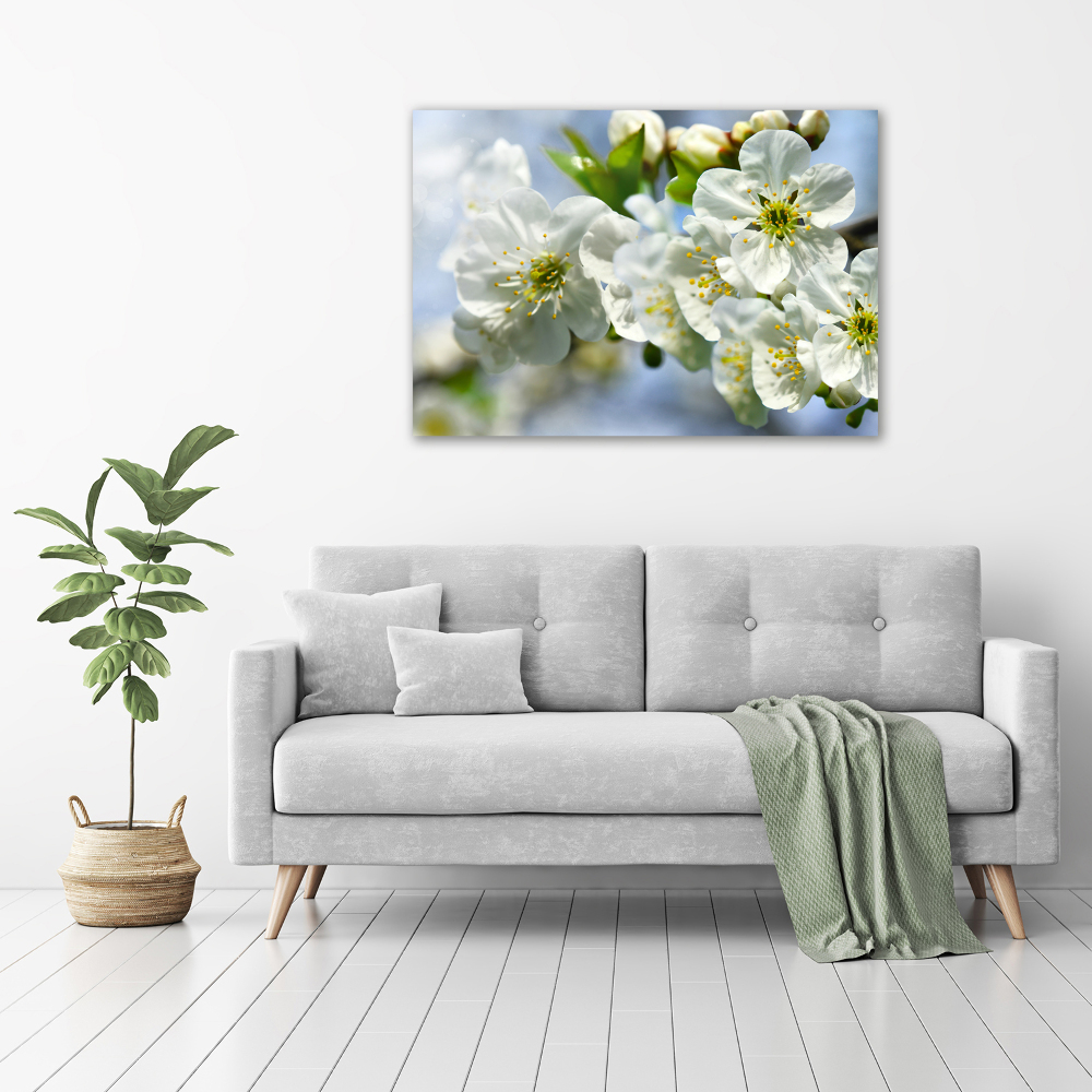 Tableau photo sur toile Fleur de cerisier