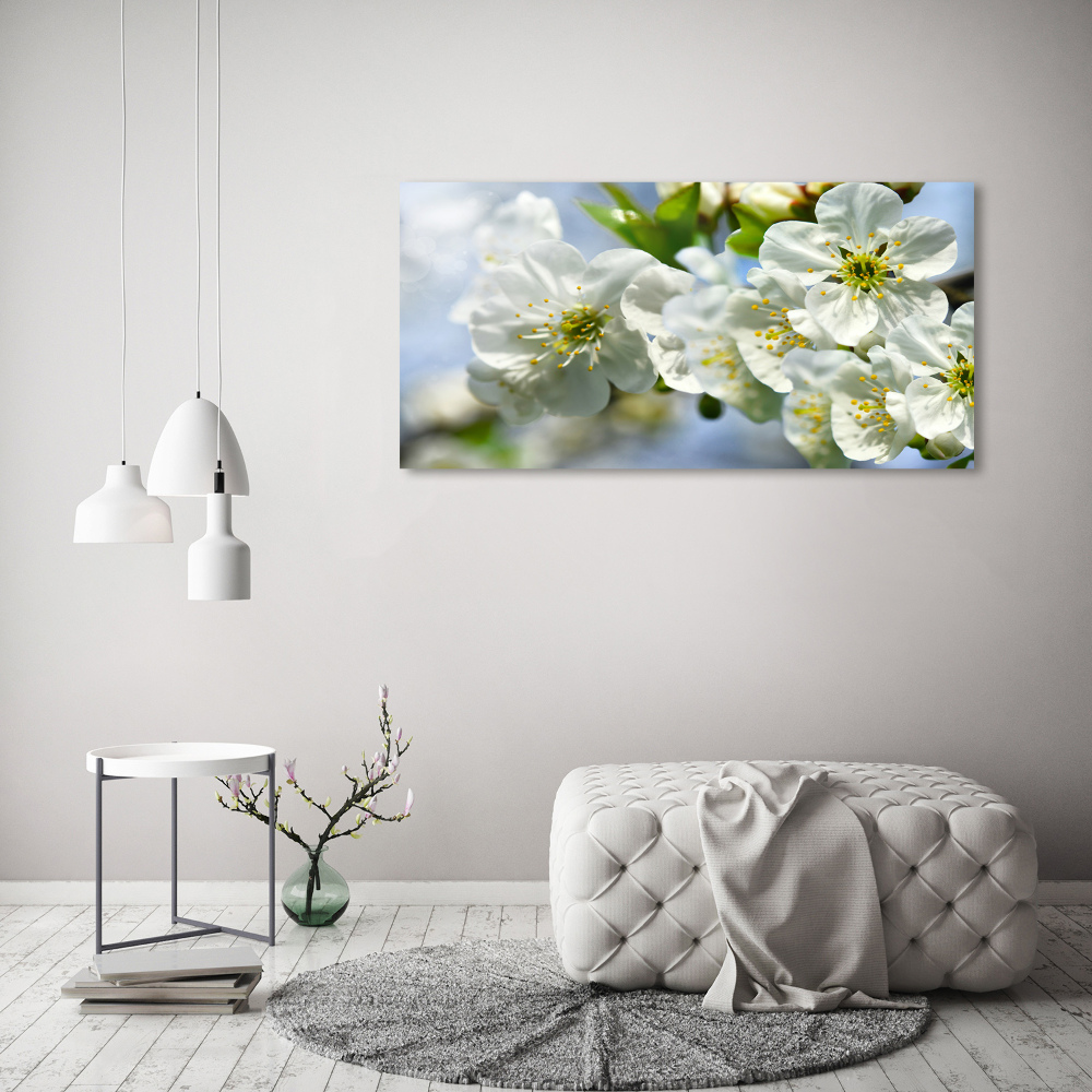 Tableau photo sur toile Fleur de cerisier