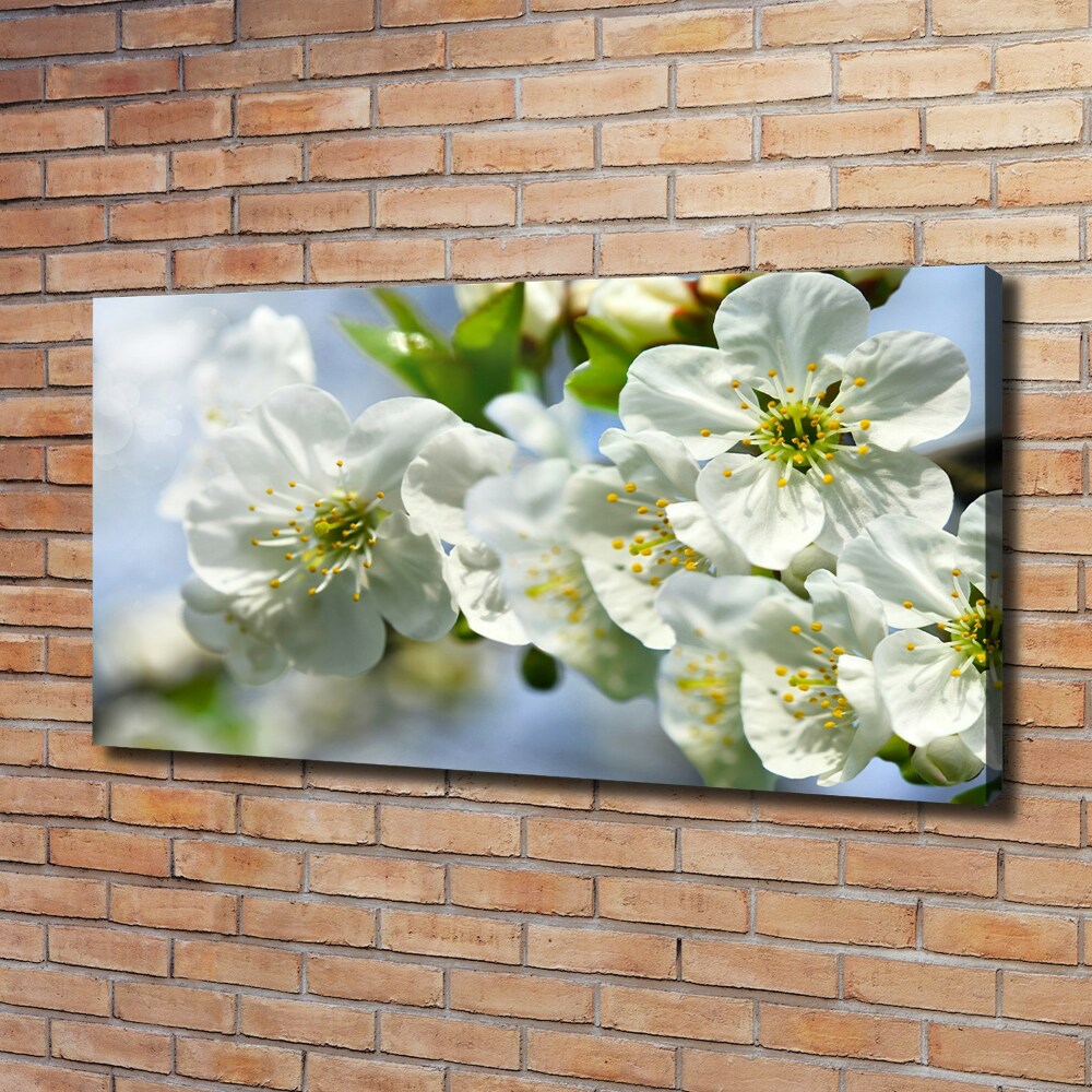 Tableau photo sur toile Fleur de cerisier