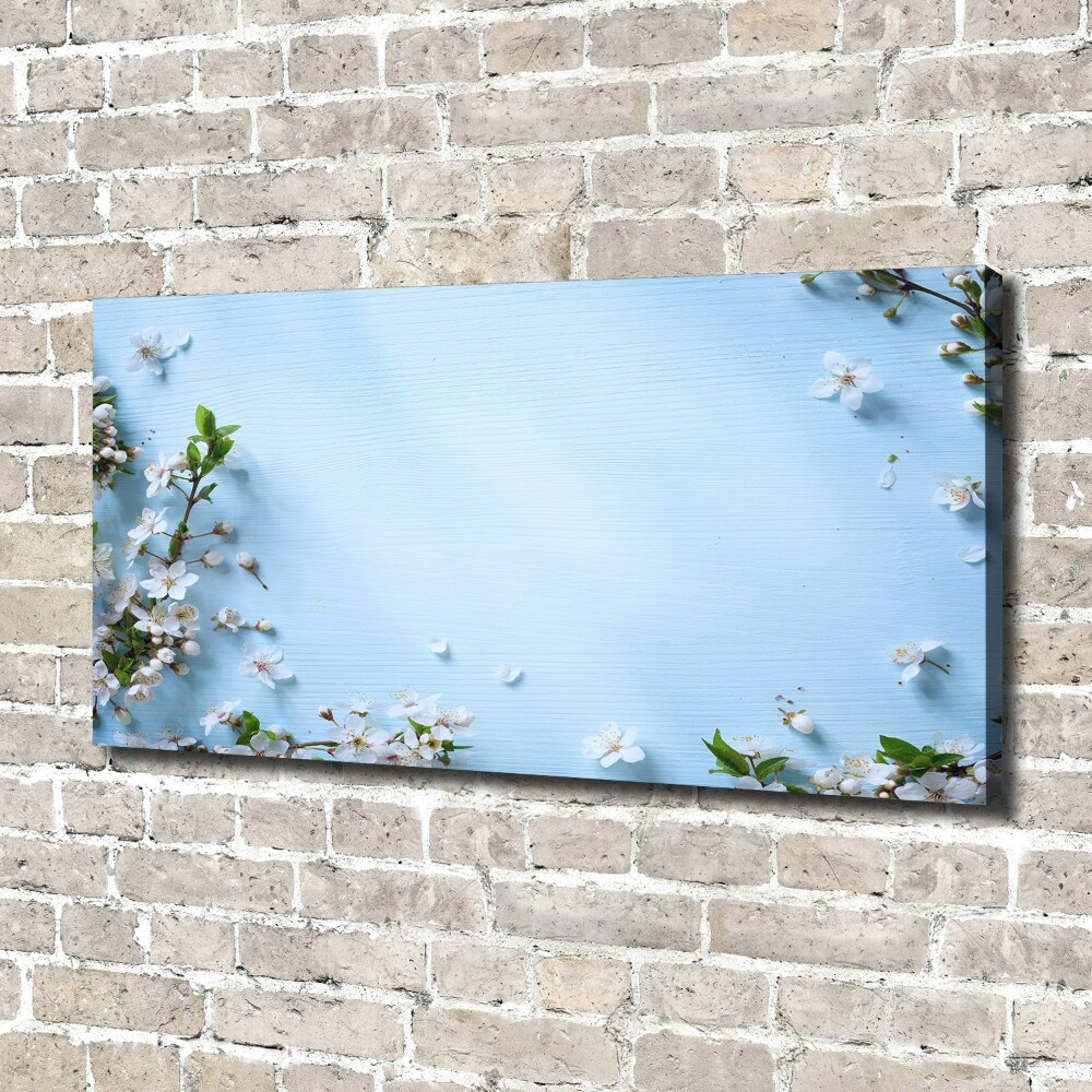 Tableau mural sur toile Fond de fleurs de cerisier