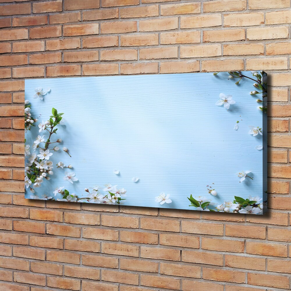 Tableau mural sur toile Fond de fleurs de cerisier