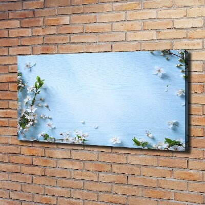 Tableau mural sur toile Fond de fleurs de cerisier