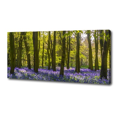 Tableau photo sur toile Forêt au printemps