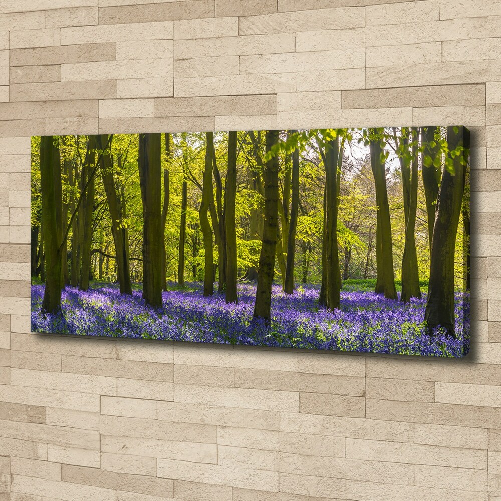 Tableau photo sur toile Forêt au printemps