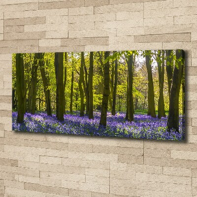 Tableau photo sur toile Forêt au printemps