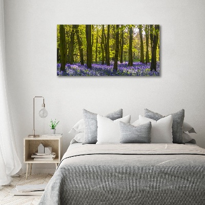 Tableau photo sur toile Forêt au printemps