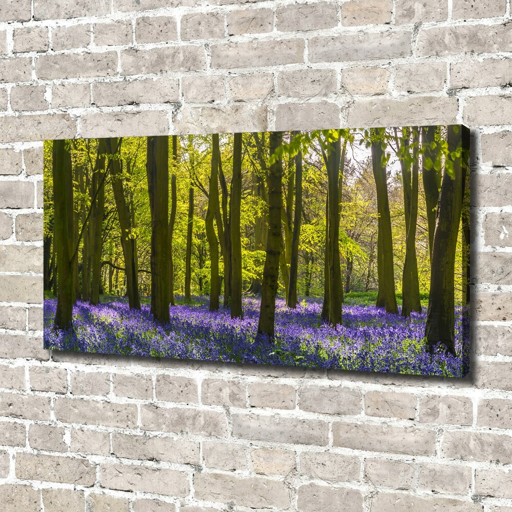 Tableau photo sur toile Forêt au printemps