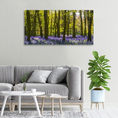 Tableau photo sur toile Forêt au printemps