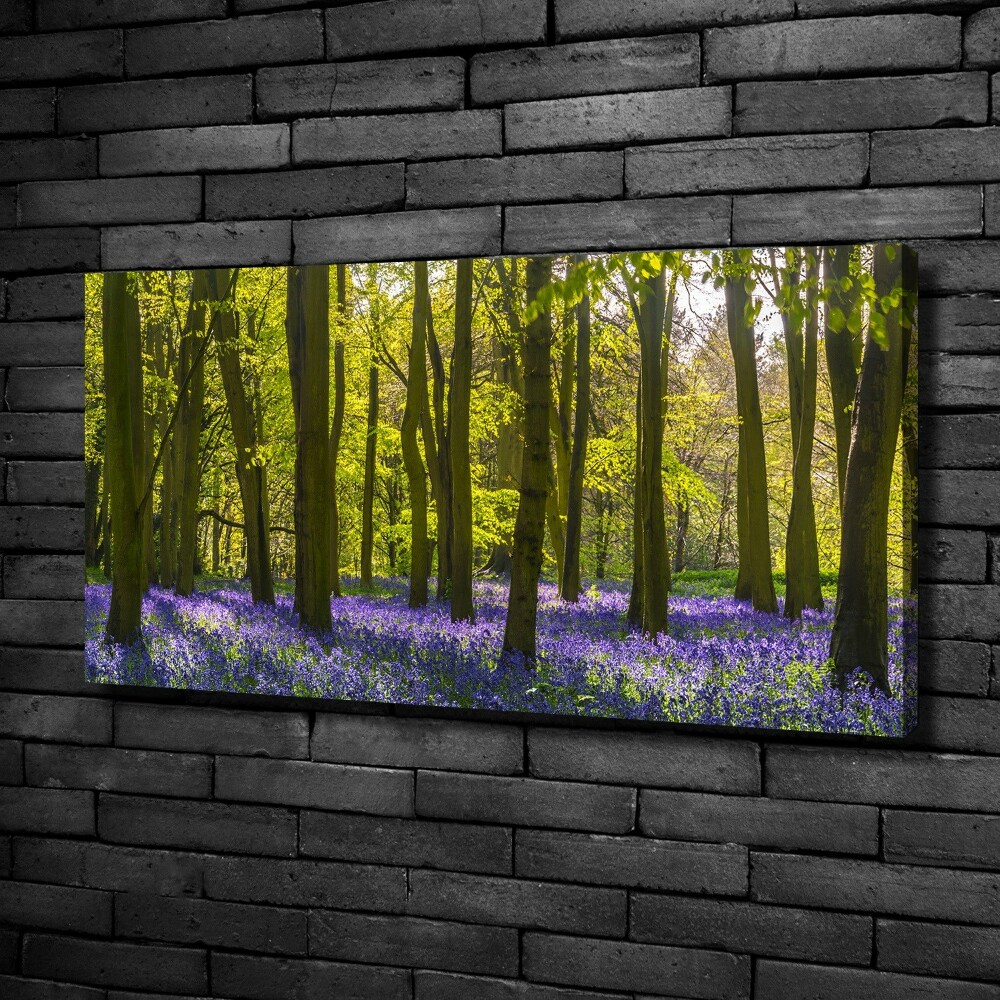 Tableau photo sur toile Forêt au printemps