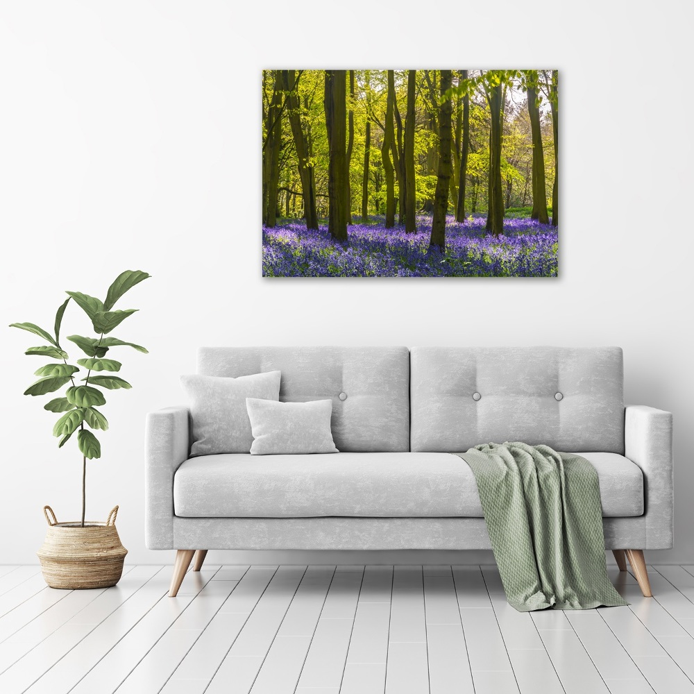 Tableau photo sur toile Forêt au printemps