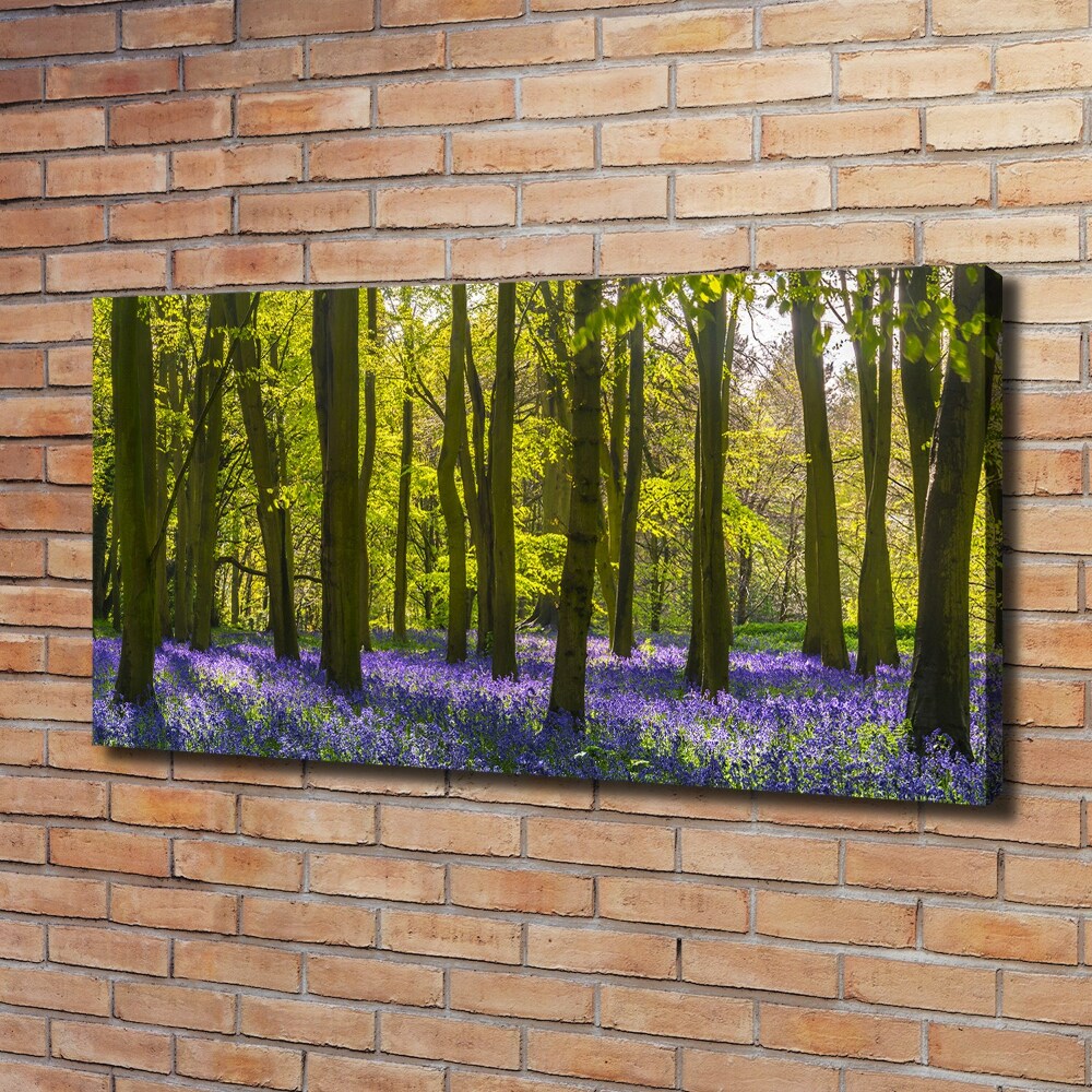 Tableau photo sur toile Forêt au printemps