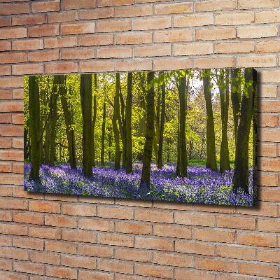 Tableau photo sur toile Forêt au printemps