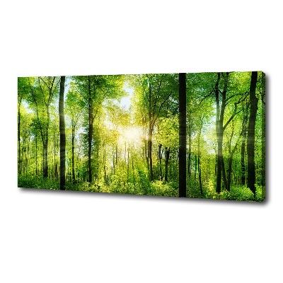 Tableau sur toile Forêt au soleil