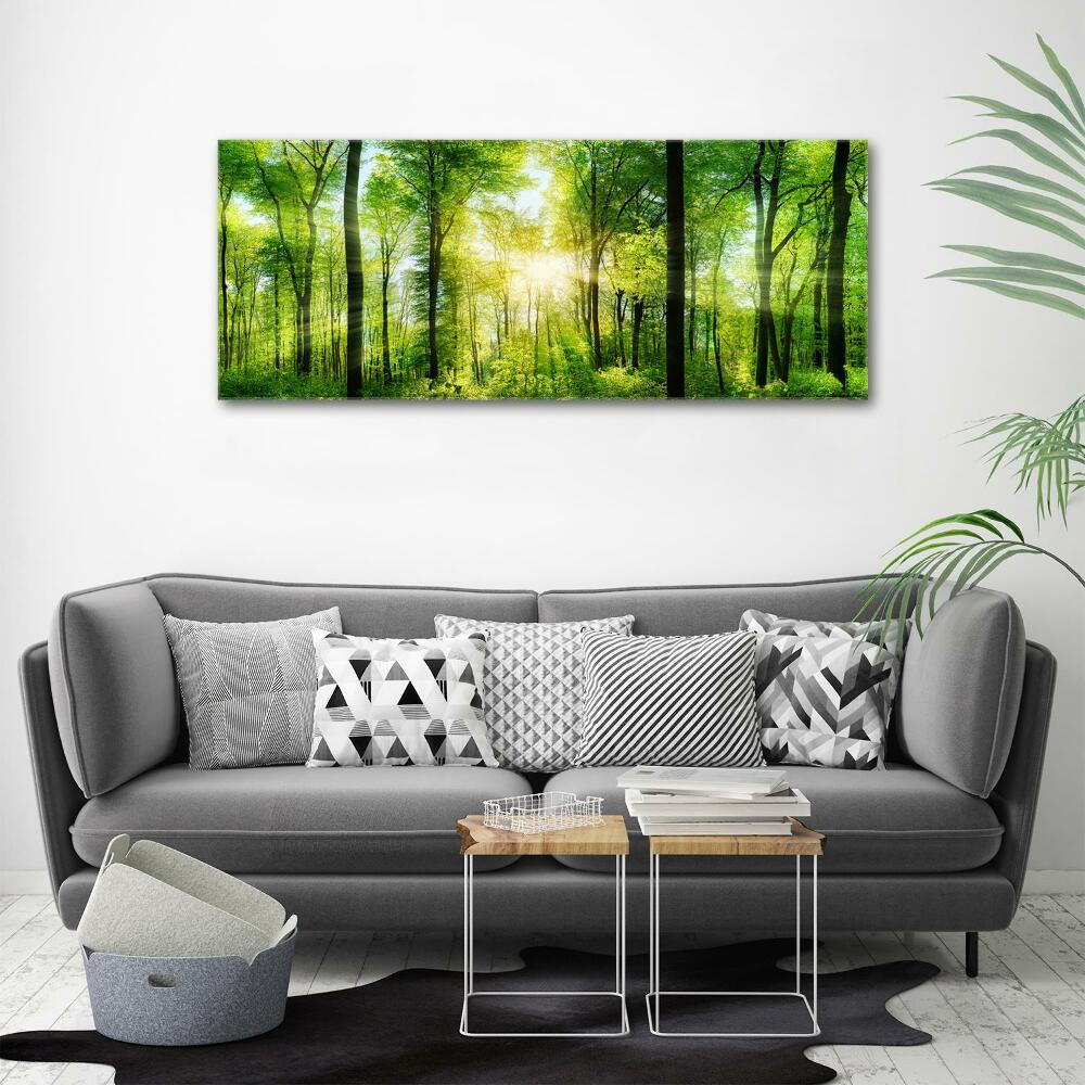 Tableau sur toile Forêt au soleil