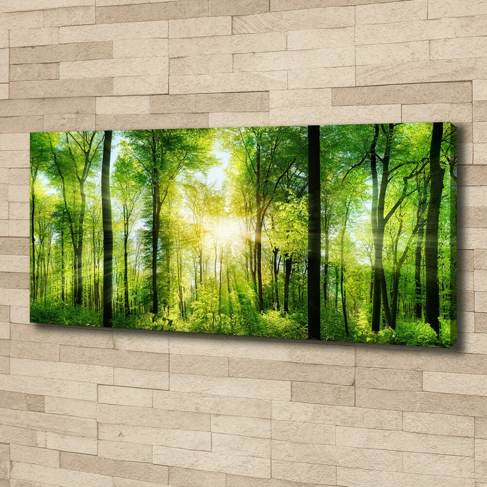 Tableau sur toile Forêt au soleil