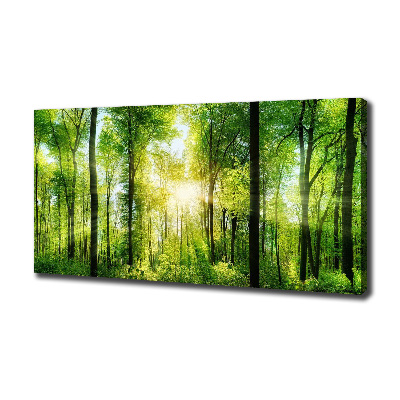 Tableau sur toile Forêt au soleil