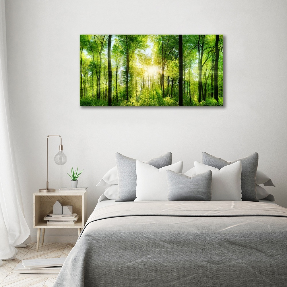 Tableau sur toile Forêt au soleil