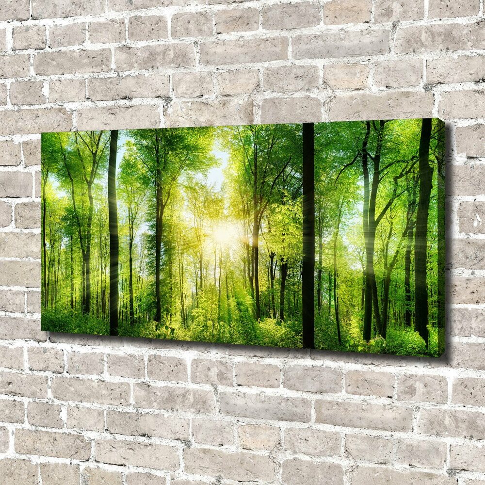 Tableau sur toile Forêt au soleil