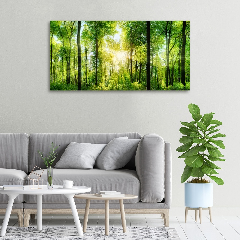 Tableau sur toile Forêt au soleil