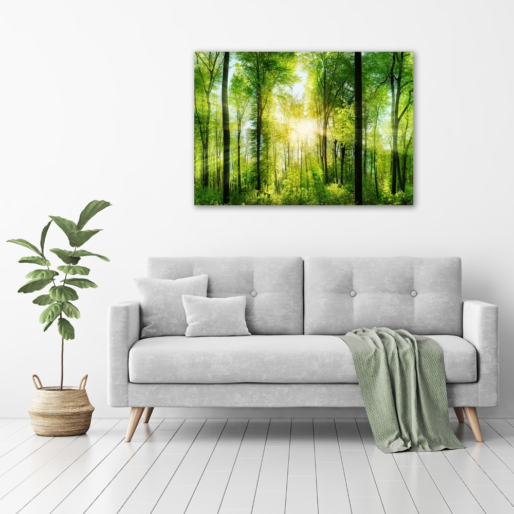 Tableau sur toile Forêt au soleil