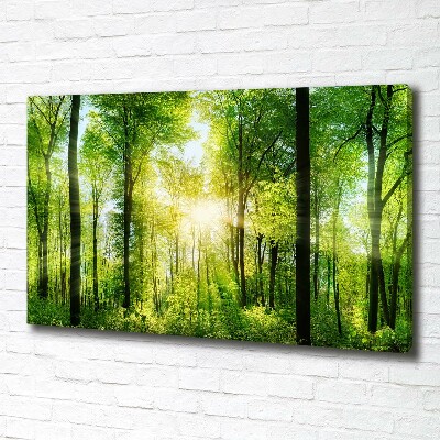 Tableau sur toile Forêt au soleil